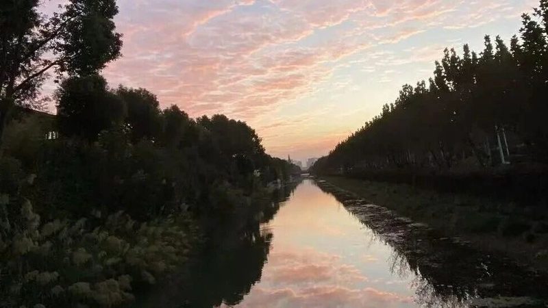 商标驳回背后的法律条款解读